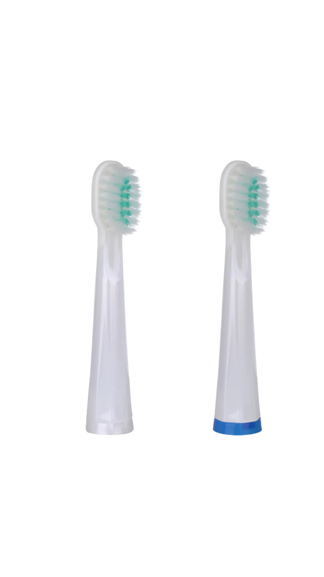 2-Pack Brush Heads STRAIGHT