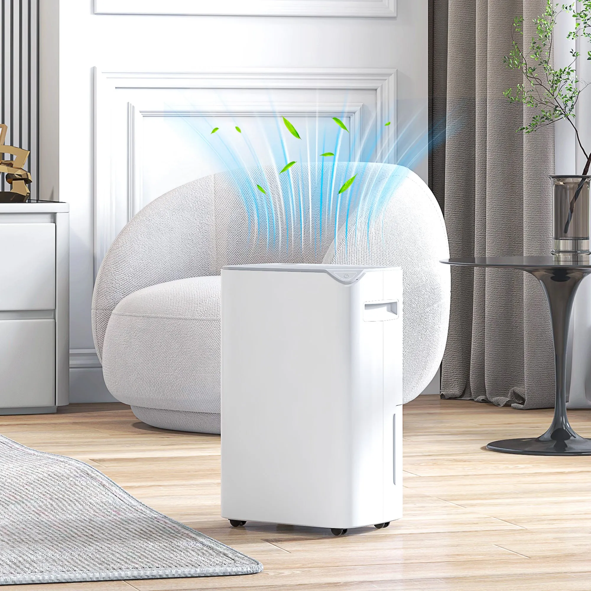 20L/Day Small Dehumidifier for Home Damp Laundry, with 24H Timer