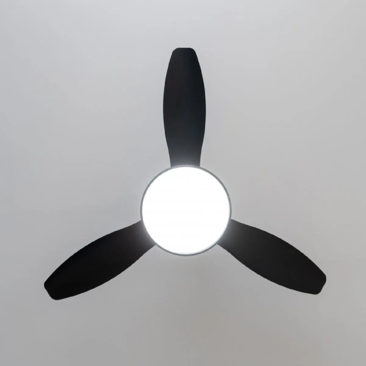 Ceiling Fan with Light Cecotec EnergySilence 4800 Black Golden 36 W