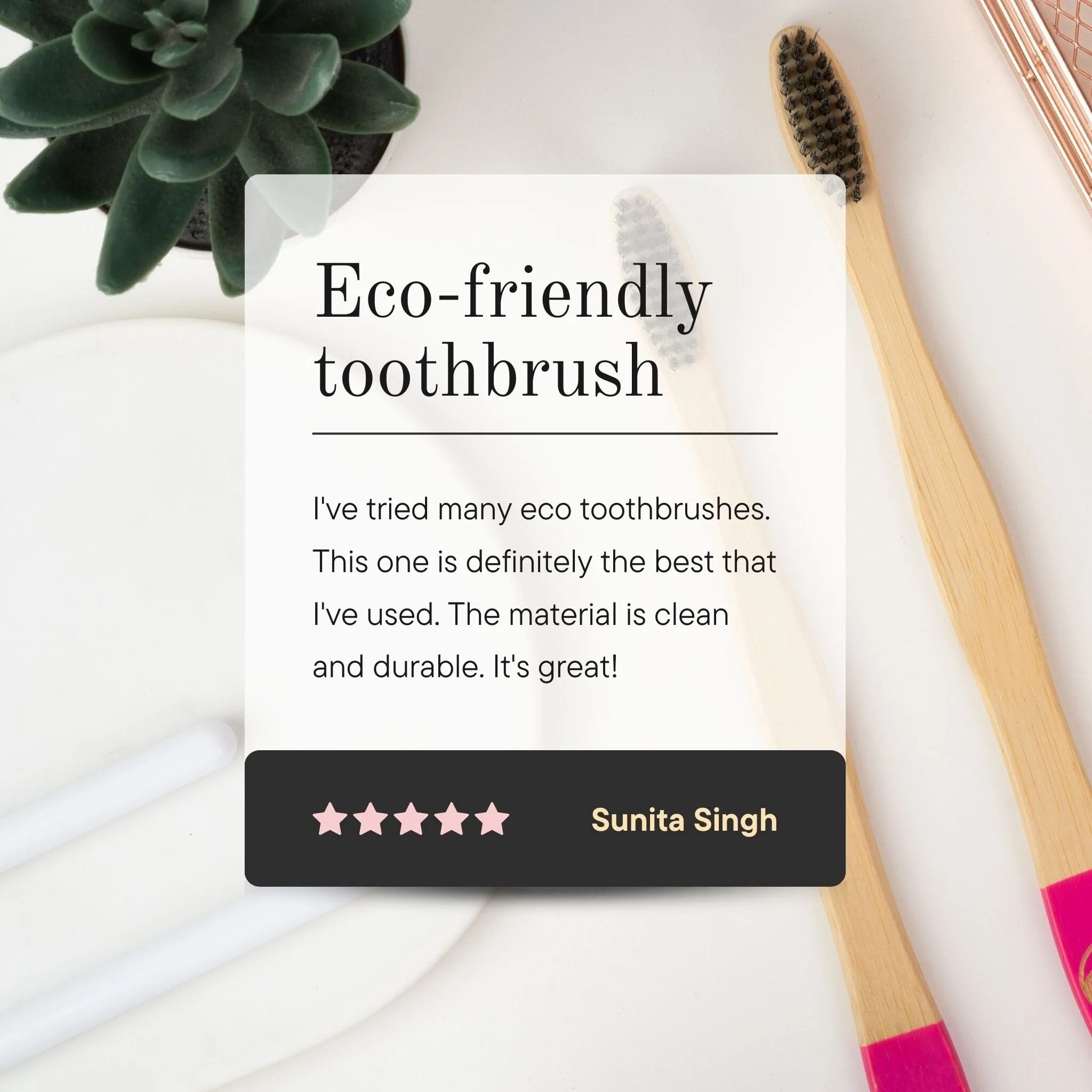 Eco Friendly Fungus Free Bamboo Toothbrush (Set of 2)