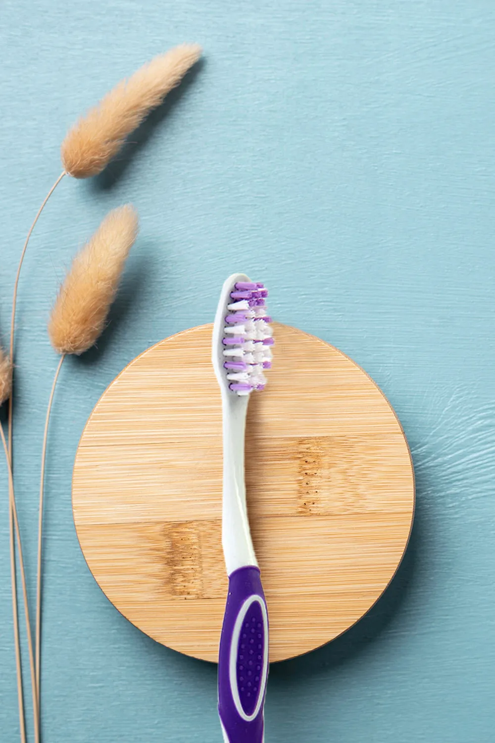 Justin Bieber Manual Toothbrush-Purple