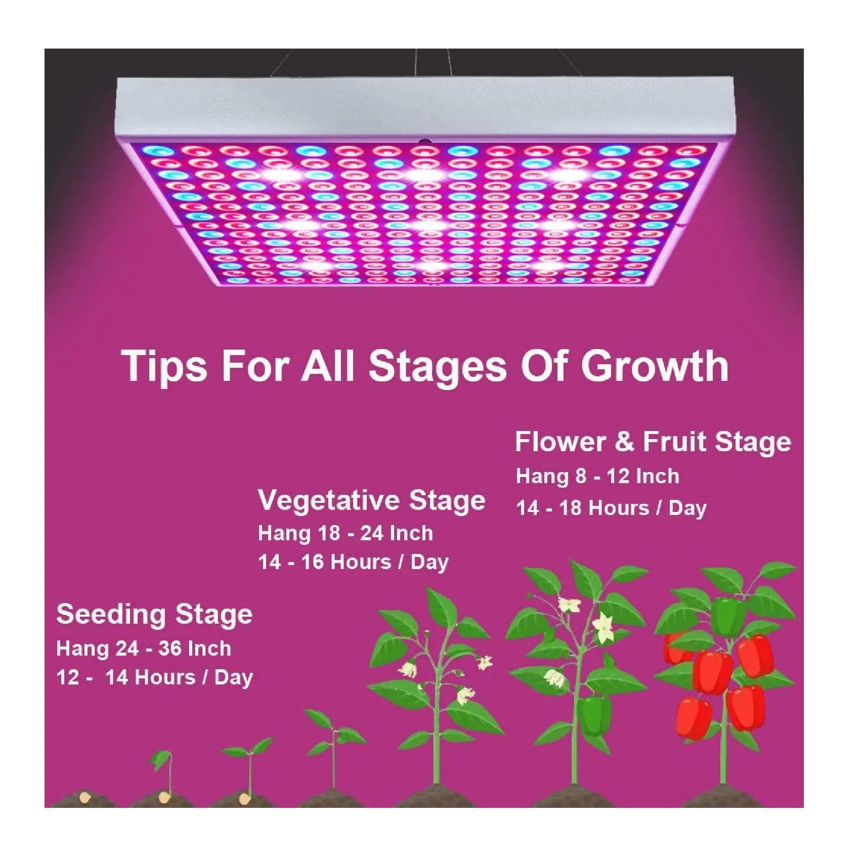 LED Grow Light | Plant Grow Lights for Indoor Plants Full Spectrum 75W Panel Growing Lamp with Timer | 2 pack