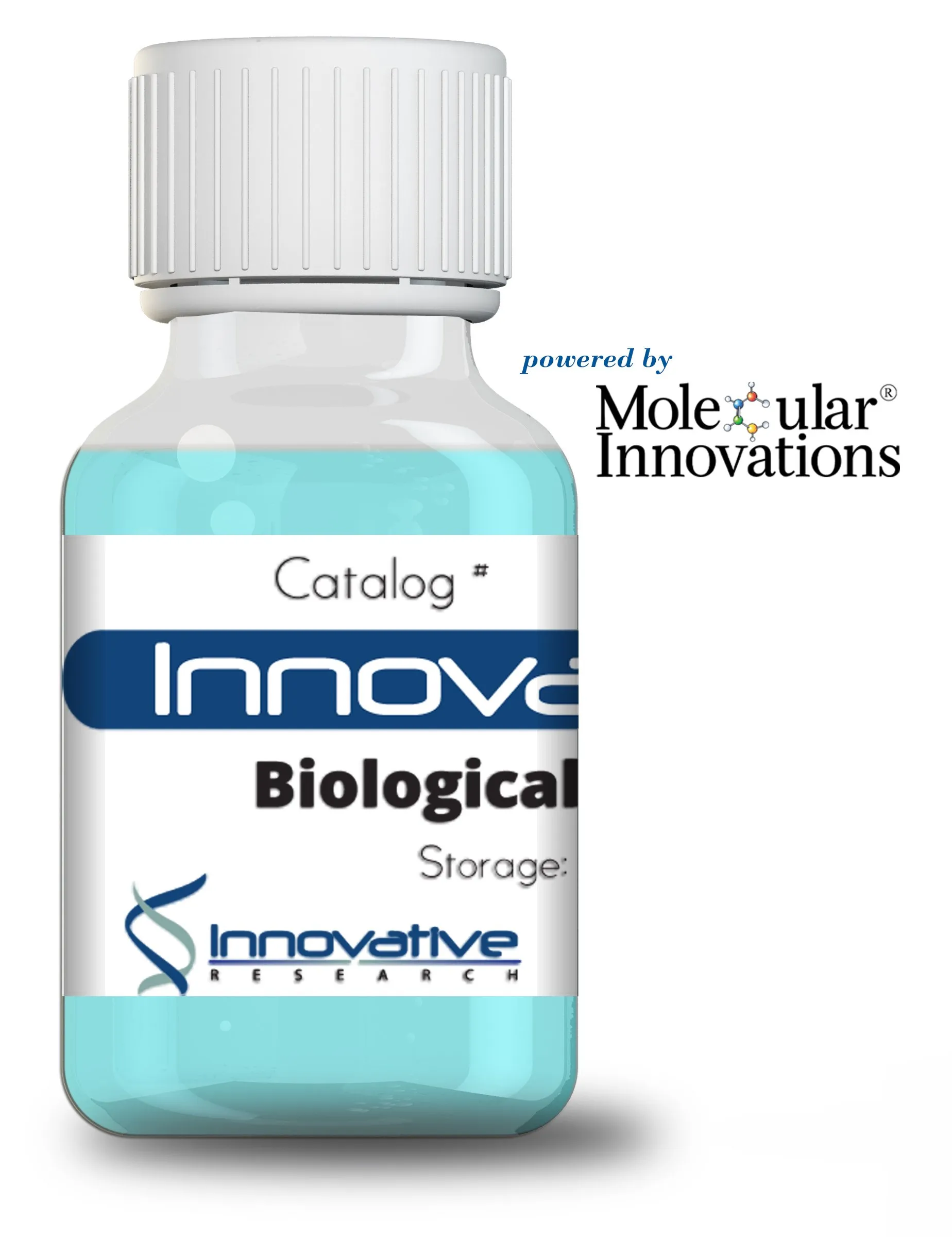 *Mouse Anti Human Urokinase (uPA) Amino Terminal Fragment Monoclonal Clone 3A108 FITC Labeled