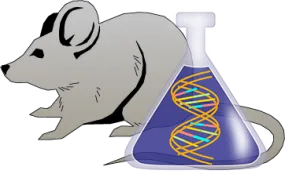 Mouse C1 Inhibitor Genetically Deficient Lung Tissue Lysate