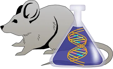 Mouse tPA Genetically Deficient Brain Tissue Lysate