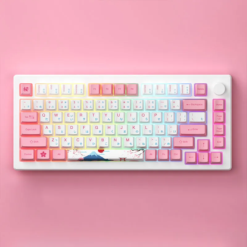 Pre-Order Akko MOD007B Gasket Mechanical Keyboard