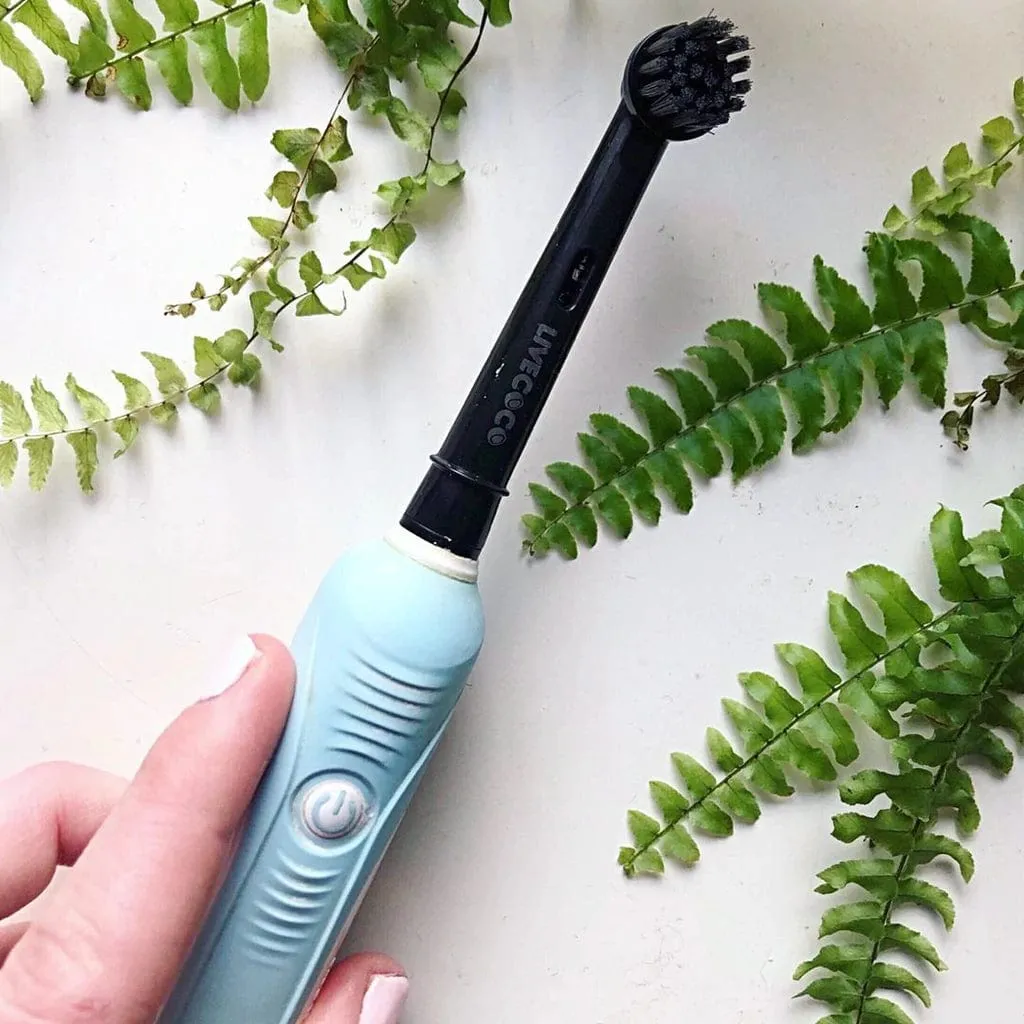 Recyclable Electric Toothbrush Heads